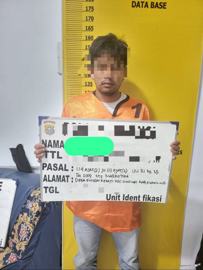 Berawal Dari Laporan Warga, Sat Resnarkoba Polres Kuansing Amankan ± 2 Kg Daun Ganja Kering 