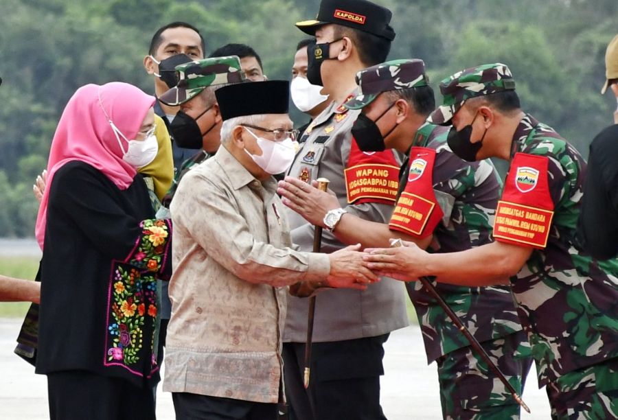 Danlanud Rsn dan Ketua Pia Ardhya Garini Dampingi Gubri Sambut Kedatangan Wapres RI