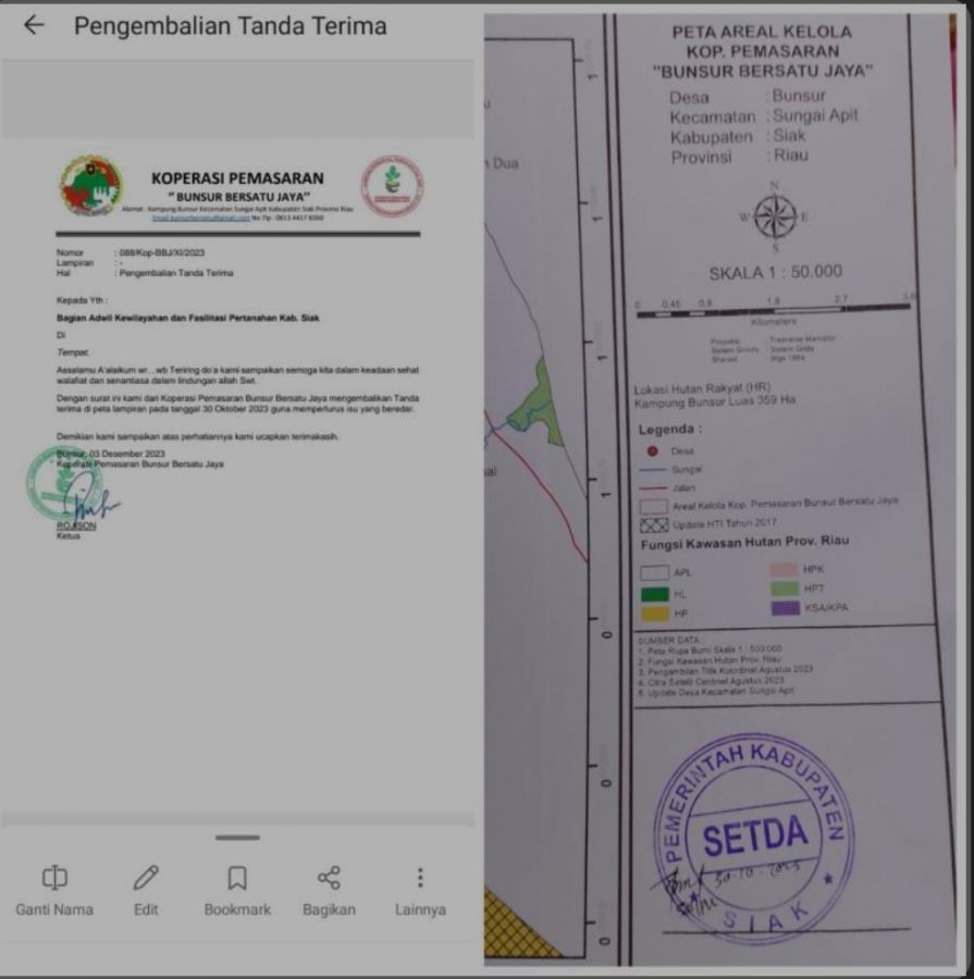 Diduga Nekat Palsukan Stempel Setda Siak, RJSN Ketua Koperasi BBJ Kuasai Ratusan Hektare Lahan Tora