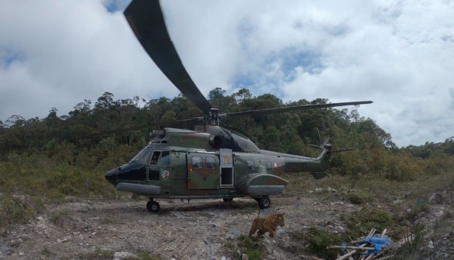 Helikopter Superpuma milik TNI AU Bantu KSDA Pelepasan Harimau Sumatera
