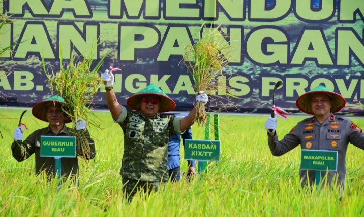 Kodam XIX Tuanku Tambusai Gelar Panen Raya di Bengkalis, Kasdam Ikuti Vidcon Bersama Presiden RI