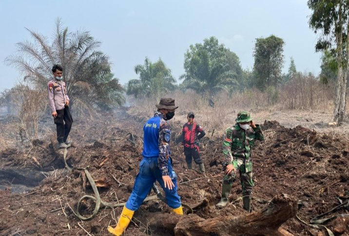 Kodam XIX Tuanku Tambusai Gerakkan 310 Personel, Karhutla Pelalawan Terus Ditangani