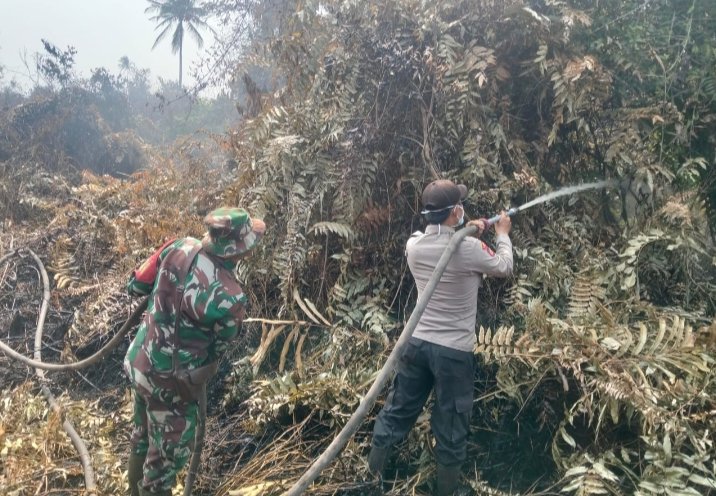 Kodam XIX/Tuanku Tambusai Cegah Api Kembali Muncul, Prajurit Sisir Lahan Gambut di Inhil