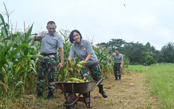 Panen Jagung Berkelanjutan di Kebun Mustang Lanud RSN, Perkuat Ketahanan Pangan dan Ekonomi Lokal