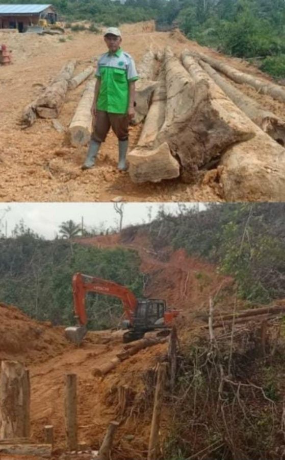 Perambahan Kawasan Hutan TNTN Makin Marak, Apa Fungsi dan Kerja DLHK KPH Indragiri serta DLHK Riau