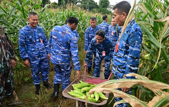 Perkuat Ketahanan Pangan, Danlanud RSN Pimpin Panen Jagung di Kebun Mustang