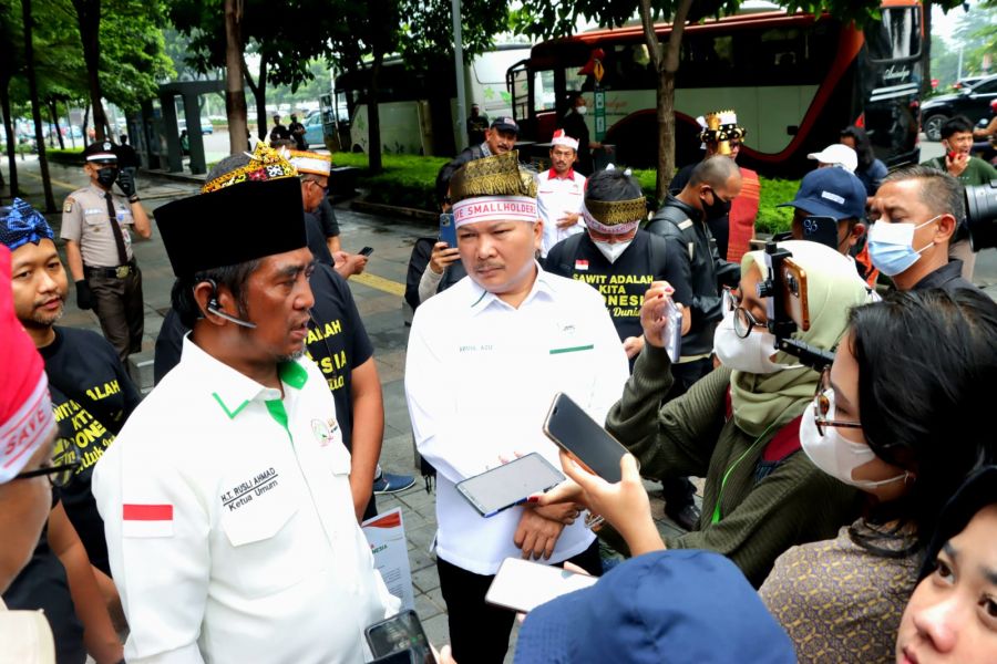 Selamat Datang Satgas Tata Kelola Industri Sawit dan DBH Sawit. Apa Hubungannya?