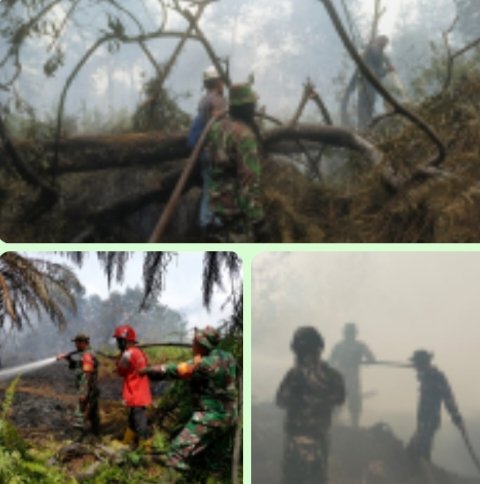 Selamatkan Kawasan Konservasi, TNI dan Tim Gabungan Perkuat Operasi Pemadaman Karhutla di SM Kerumut