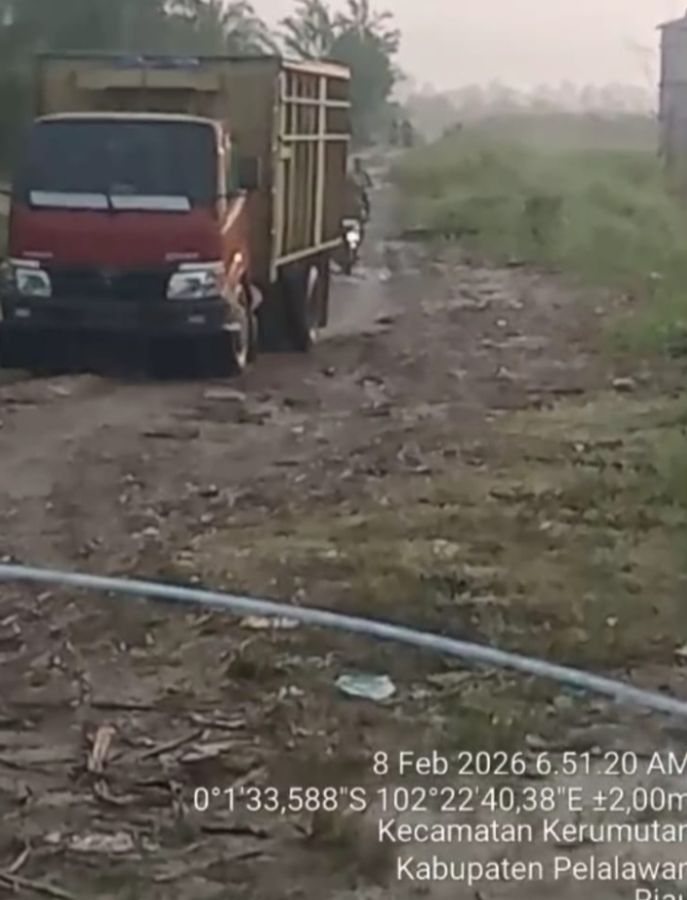 Tangkap Bos Pembalakan Liar Di Kerumutan dan Teluk Meranti !