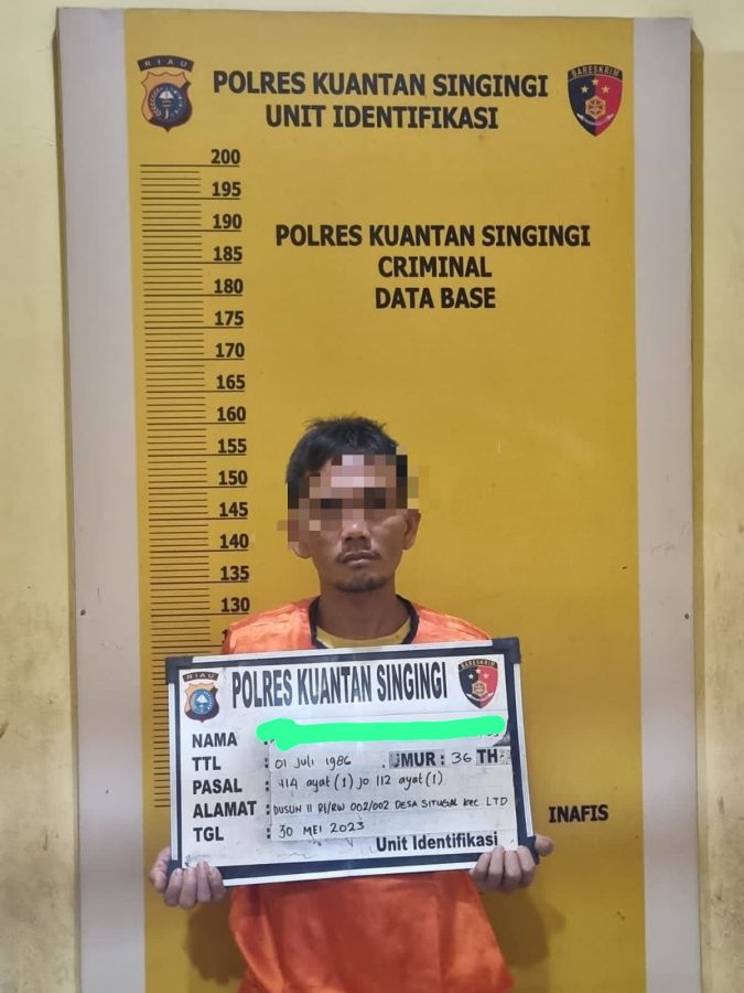 Tiada Hentinya Tim Mata Elang Satresnarkoba Polres Kuansing Tangkap Pelaku Narkoba