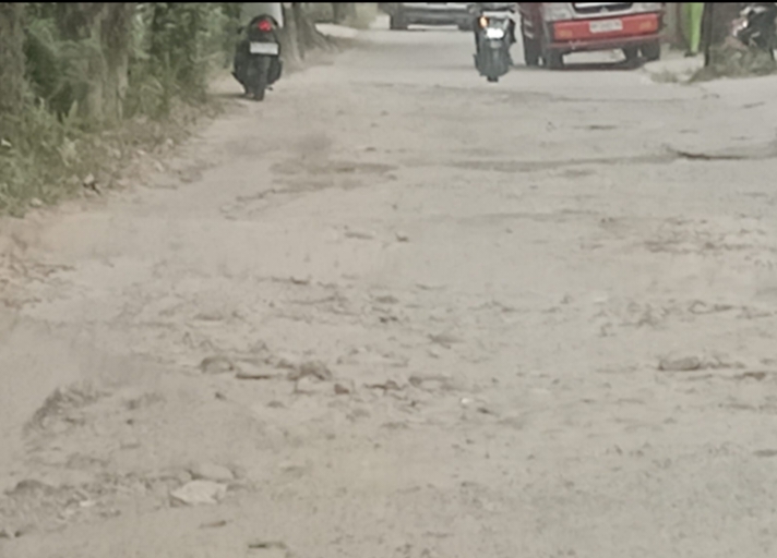 Warga Jalan Karya Indah Payung Sekaki : Tolong Pak Walikota, Jalan kami rusak