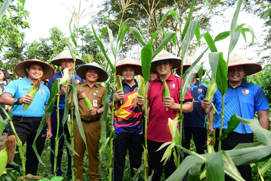 Wujud Ketahanan Pangan Lanud Roesmin Nurjadin Gelar Panen Raya Jagung